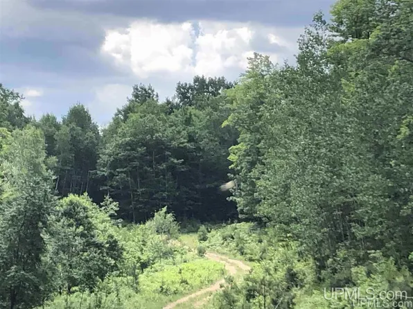 LOT Maplewood Dr #J, Gwinn, MI 49841