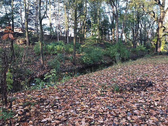 Little Plaster Creek 