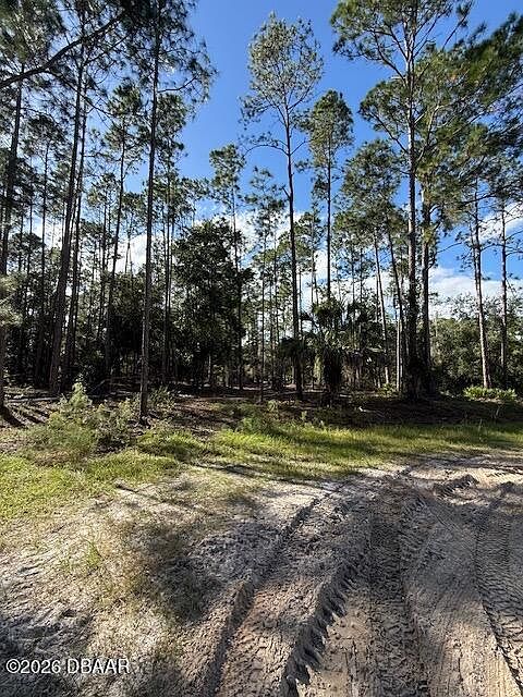 2nd image of 215 Hideaway Ln