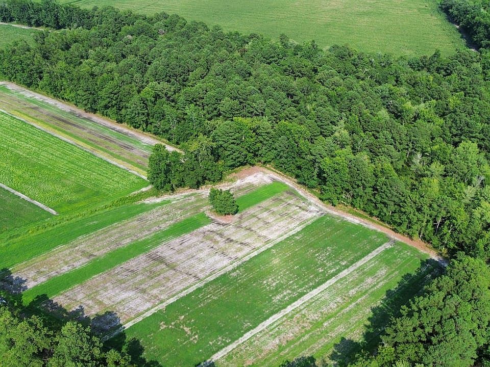 Dji Fly 20260717 154006 122 1784323126020 Photo Optimized