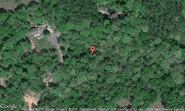Map View