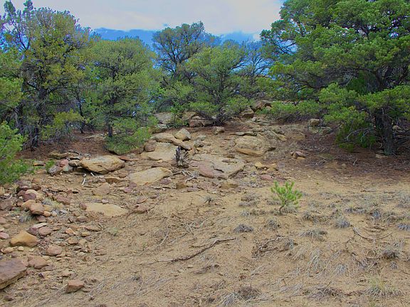 5th image of La Veta Pines Rnch #14