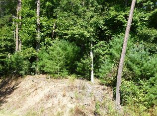 Pisgah Rd, Ellijay, GA 30536