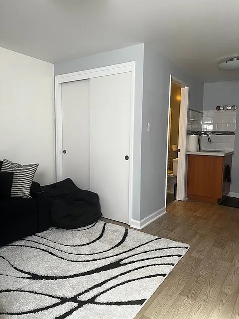 Studio, 300 sqft, $1,700 — Photo 4
