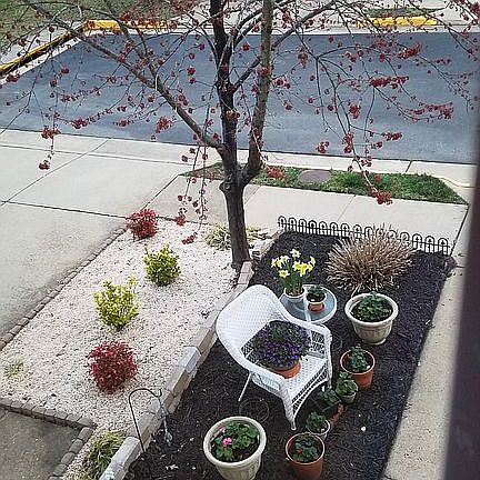 Front Garden from 2nd Floor 