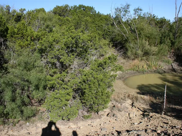 0 Upper Brad Rd, Strawn, TX 76475