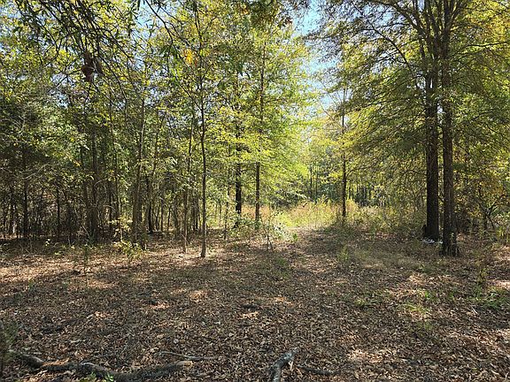 2nd image of 30362 W Highway 28