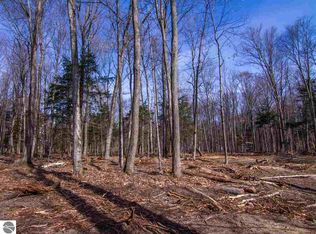 0 E Sylvan Point Rd, Honor, MI 49640