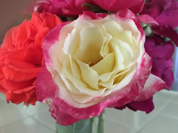 551 Coyote St, Nevada City, CA 95959