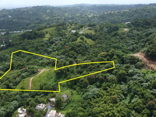 R919 5.3 Sector Carmita Jimenez #27-28-28A, Juncos, PR 00777