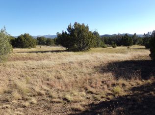 28 County Road 3190 #352, Vernon, AZ 85940