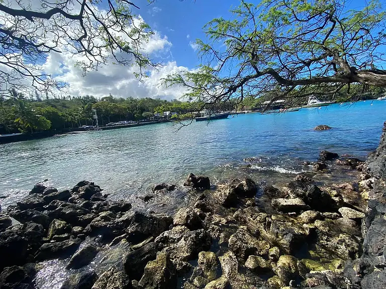 Alii Dr — Photo 14