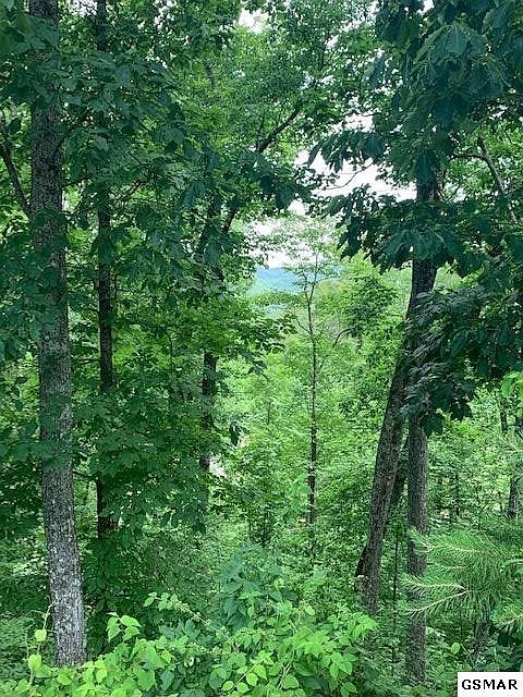 1st image of 45 Cloud View Dr Lot 45
