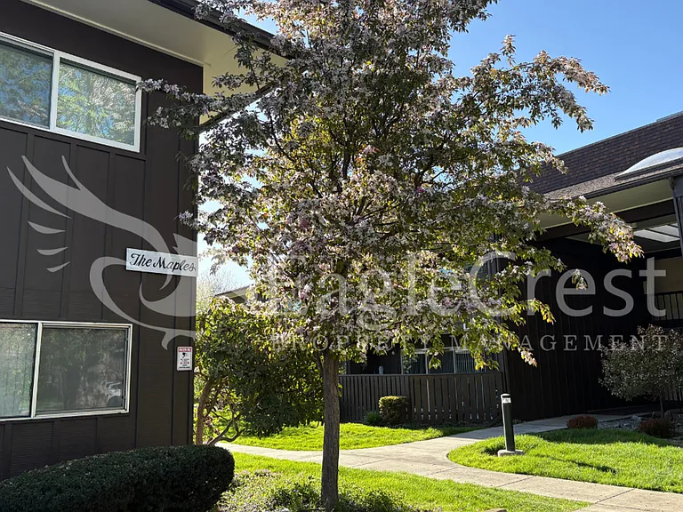 364 Catherine St #M1 — Photo 3