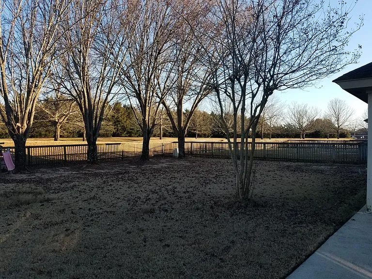9437 Broadleaf Dr — Photo 25