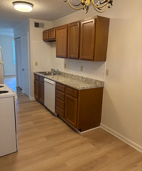 Kitchen sink and dishwasher