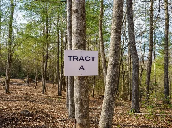 Township Road A East New Hope Rd, Ellijay, GA 30536