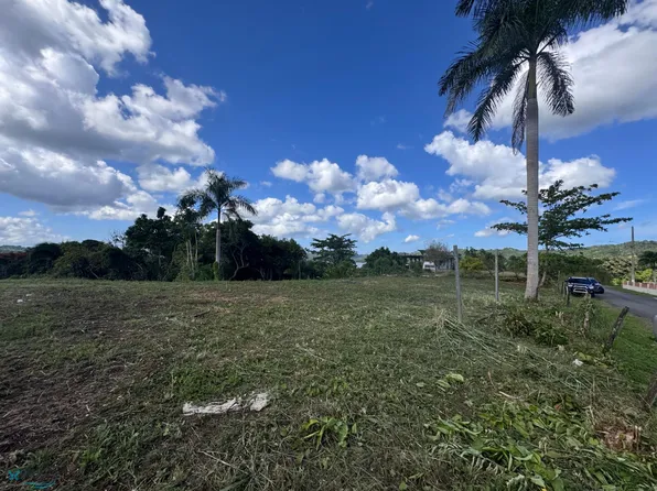 Km 2.8 Int Carr #4-455, San Sebastian, PR 00685