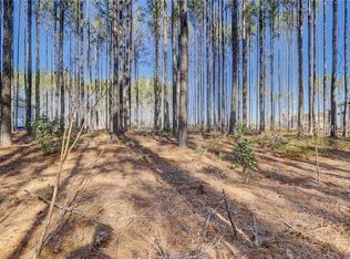 458 Lake Bluff Dr, Bluffton, SC 29910