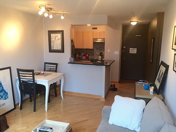 4th image of 1360 N Sandburg Ter APT 404C