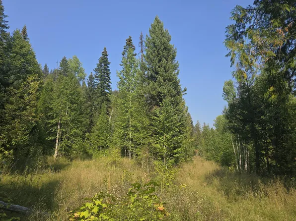 3 Deep Lake Boundary Rd, Colville, WA 99114