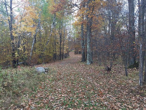 5th image of TRACT 1 Lower Larson Lake Rd NW