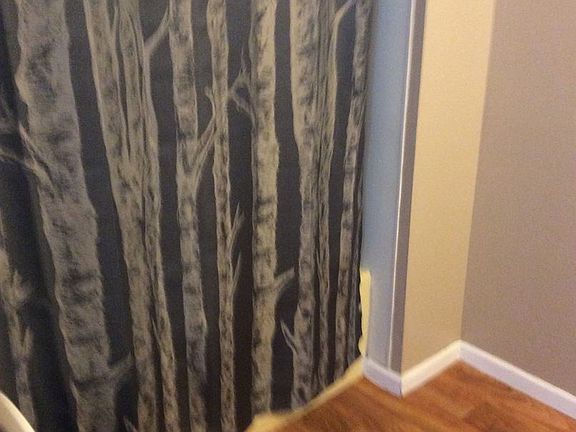 3rd image of 501 Grandview Ave APT 3B