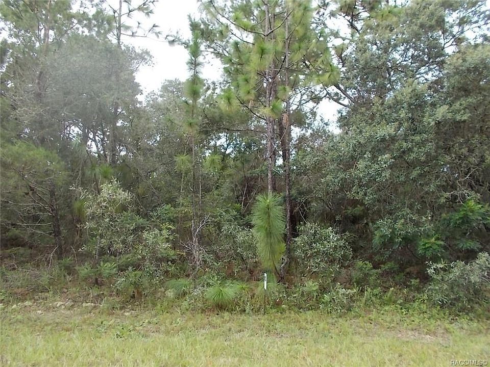 1st image of 6794 N Heidi Dr