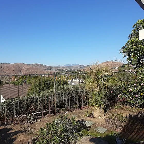 Rear yard view.