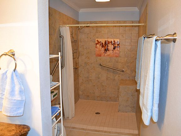 Master bath roll in shower