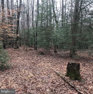 10047 Lyles Pl, Waldorf, MD, 20603