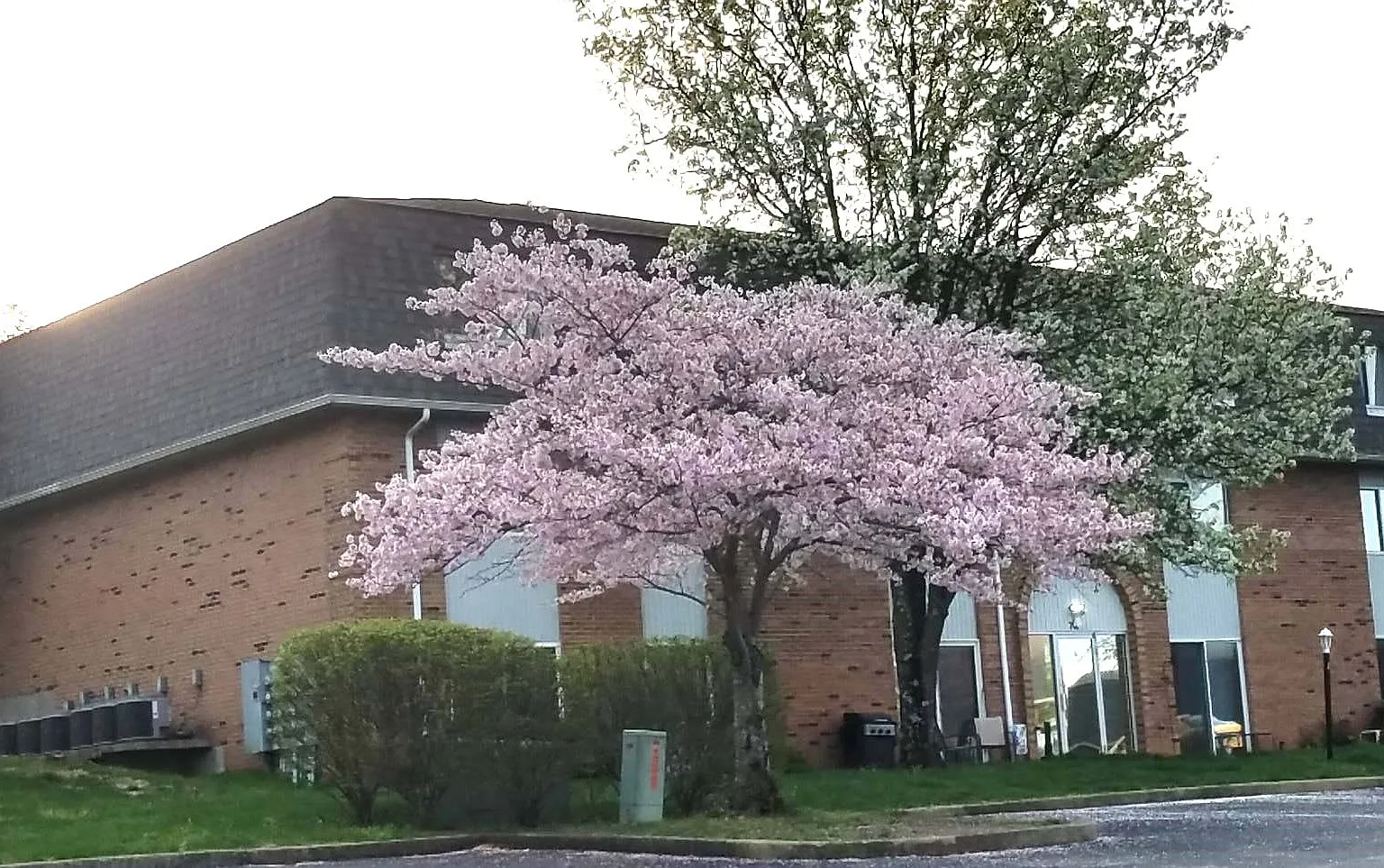 Highland Ridge Apartments — Photo 1