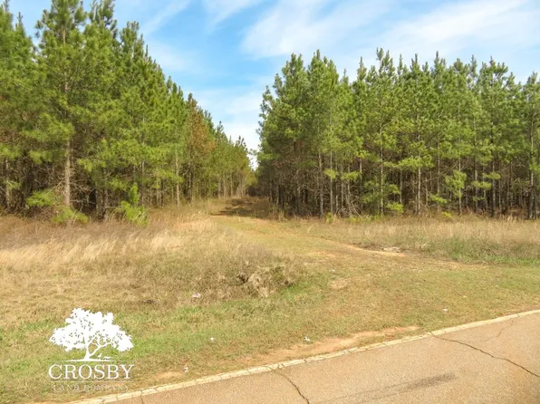 Belmont Rd, Louisville, GA 30434