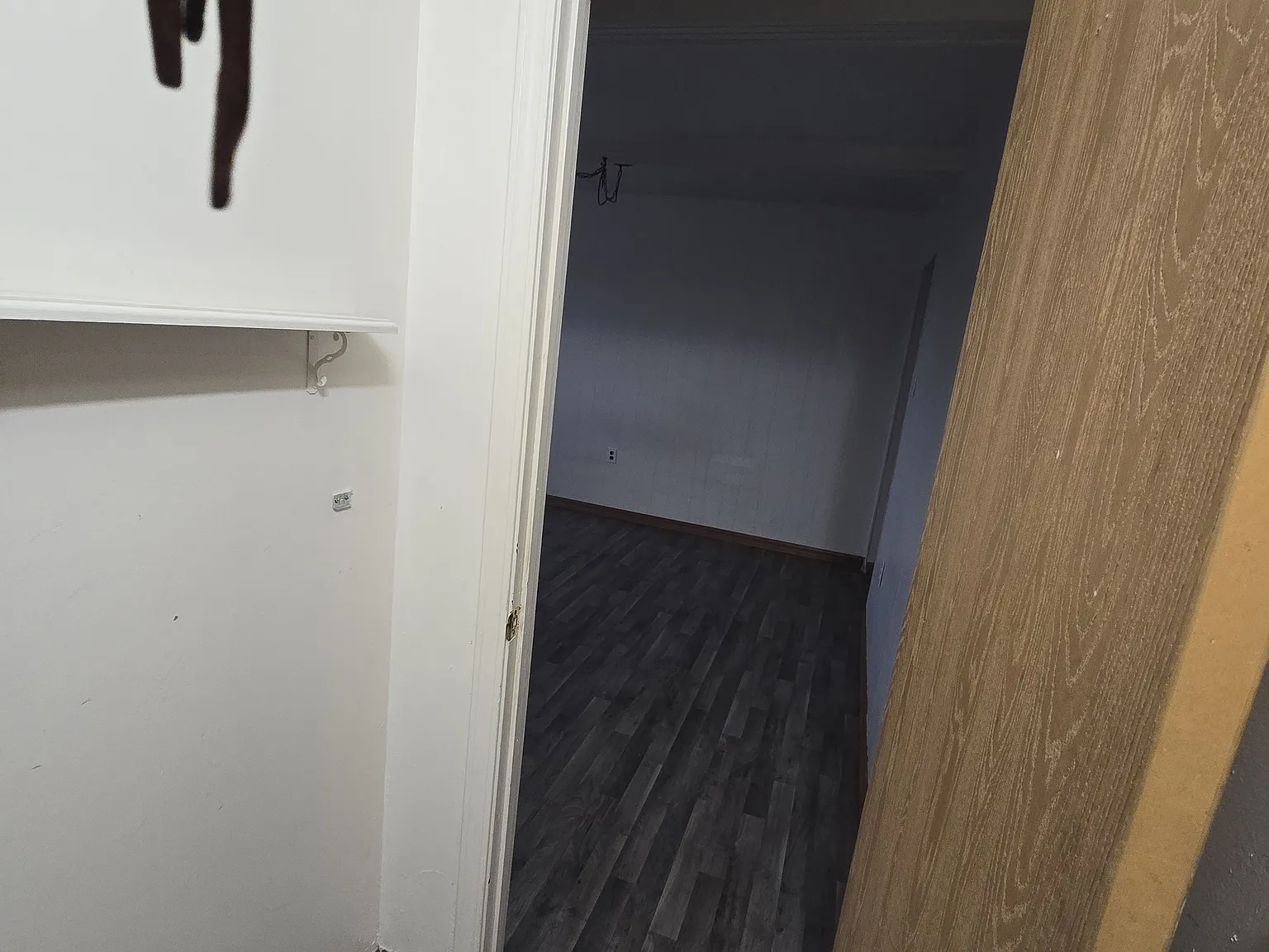 1 bed, $750 — Photo 3