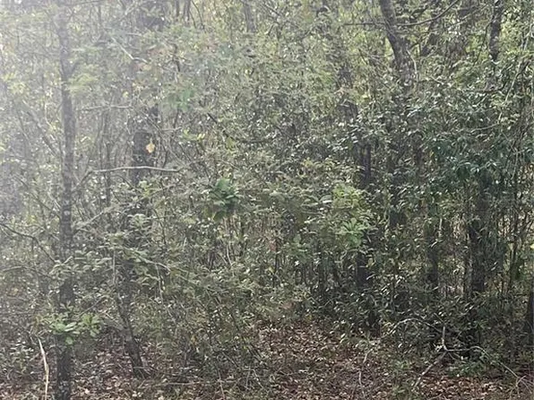 0 NE 125th St, Bronson, FL 32621