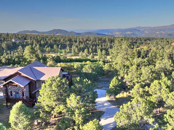 115 Woodchuck Pl, Ridgway, CO 81432