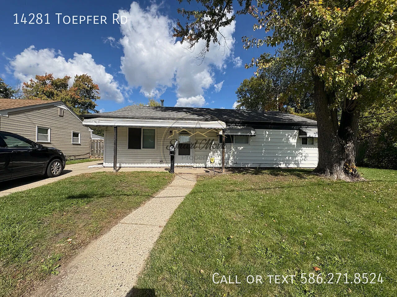14281 Toepfer — Photo 1