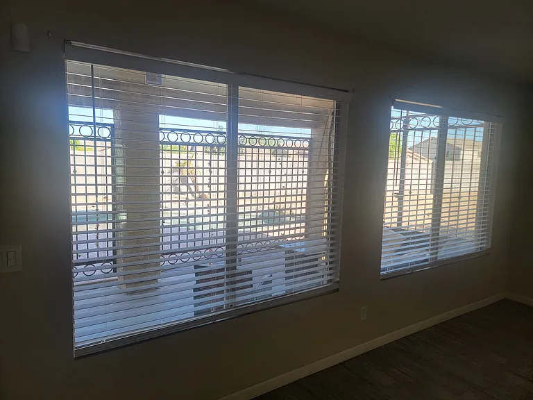 View to Backyard from Living Room