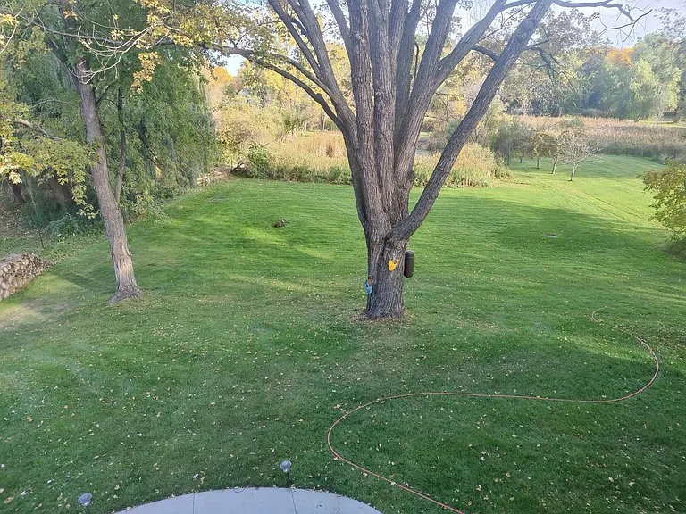 View from Bedroom
