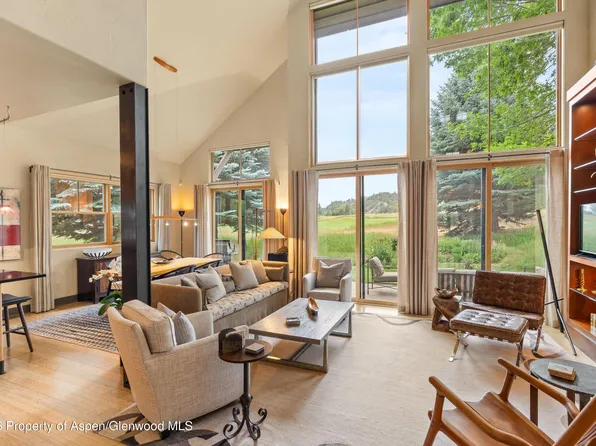 31 Primrose Rd, Carbondale, CO 81623