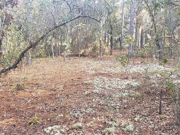 8175 N Triana Dr, Citrus Springs, FL 34434