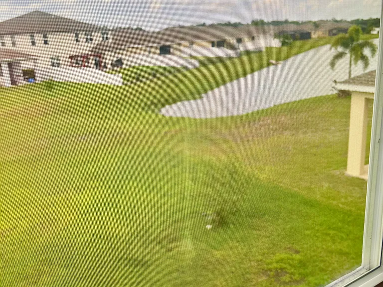 View from the backyard from the loft