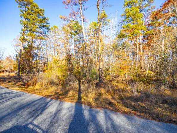 0 Blue Gill Dr, Roland, AR 72135