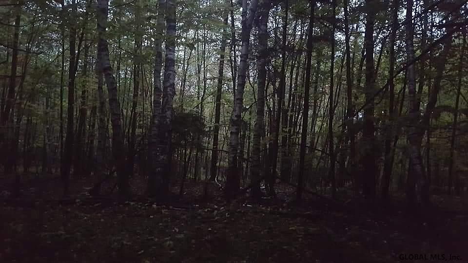 2nd image of BEARDS HOLLOW Road
