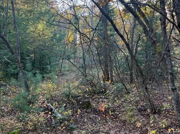 V/l Lansing Rd, Roscommon, MI 48653
