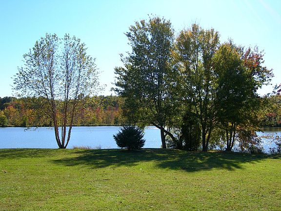 Southern View from Back Yard