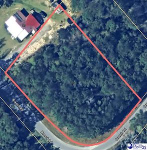 713 Branch Rd, Timmonsville, SC, 29161