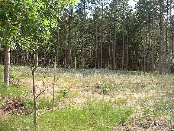4th image of N12562 13th Ave N