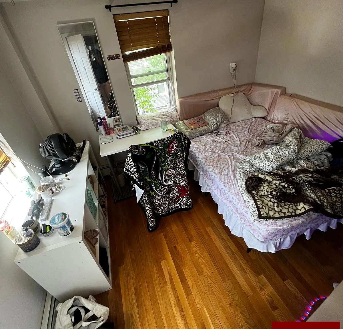 4 bed, 1.0 bath, $4,000 — Photo 4