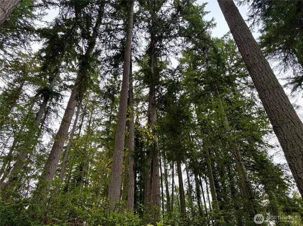 0 Hyak Place, Fox Island, WA 98333